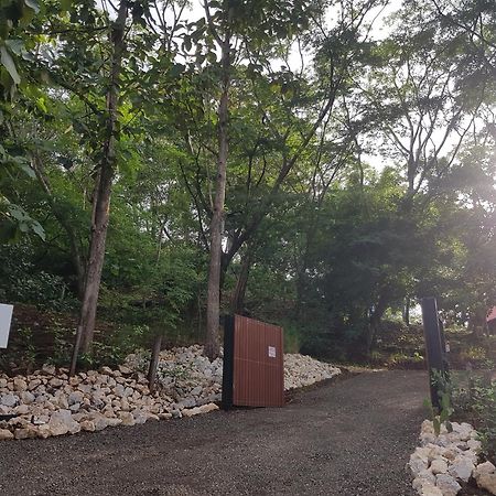 Baliyana Lodge San Jose Pinilla ภายนอก รูปภาพ