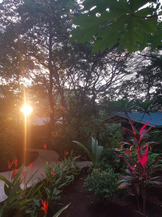 Baliyana Lodge San Jose Pinilla ภายนอก รูปภาพ