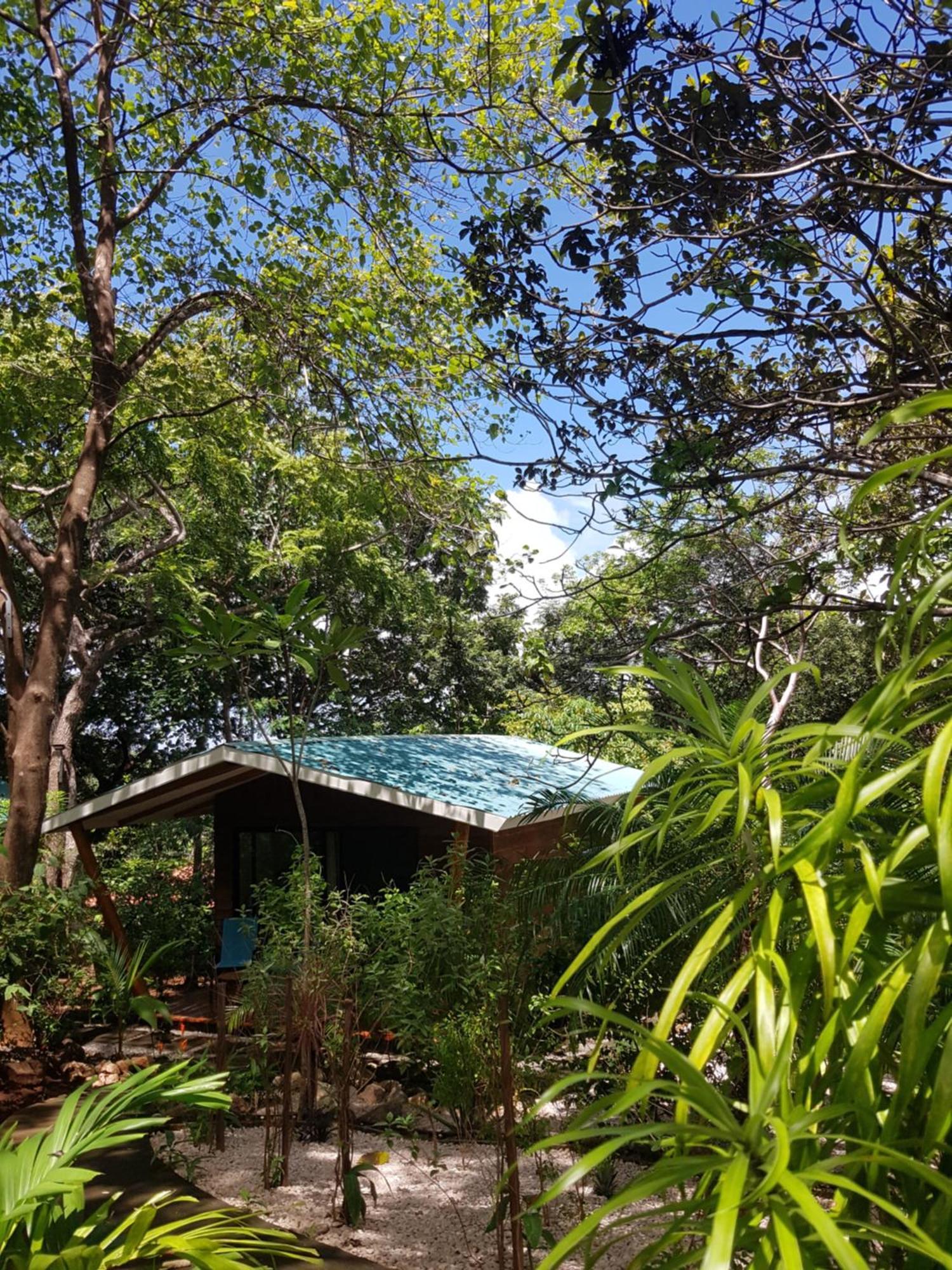 Baliyana Lodge San Jose Pinilla ภายนอก รูปภาพ