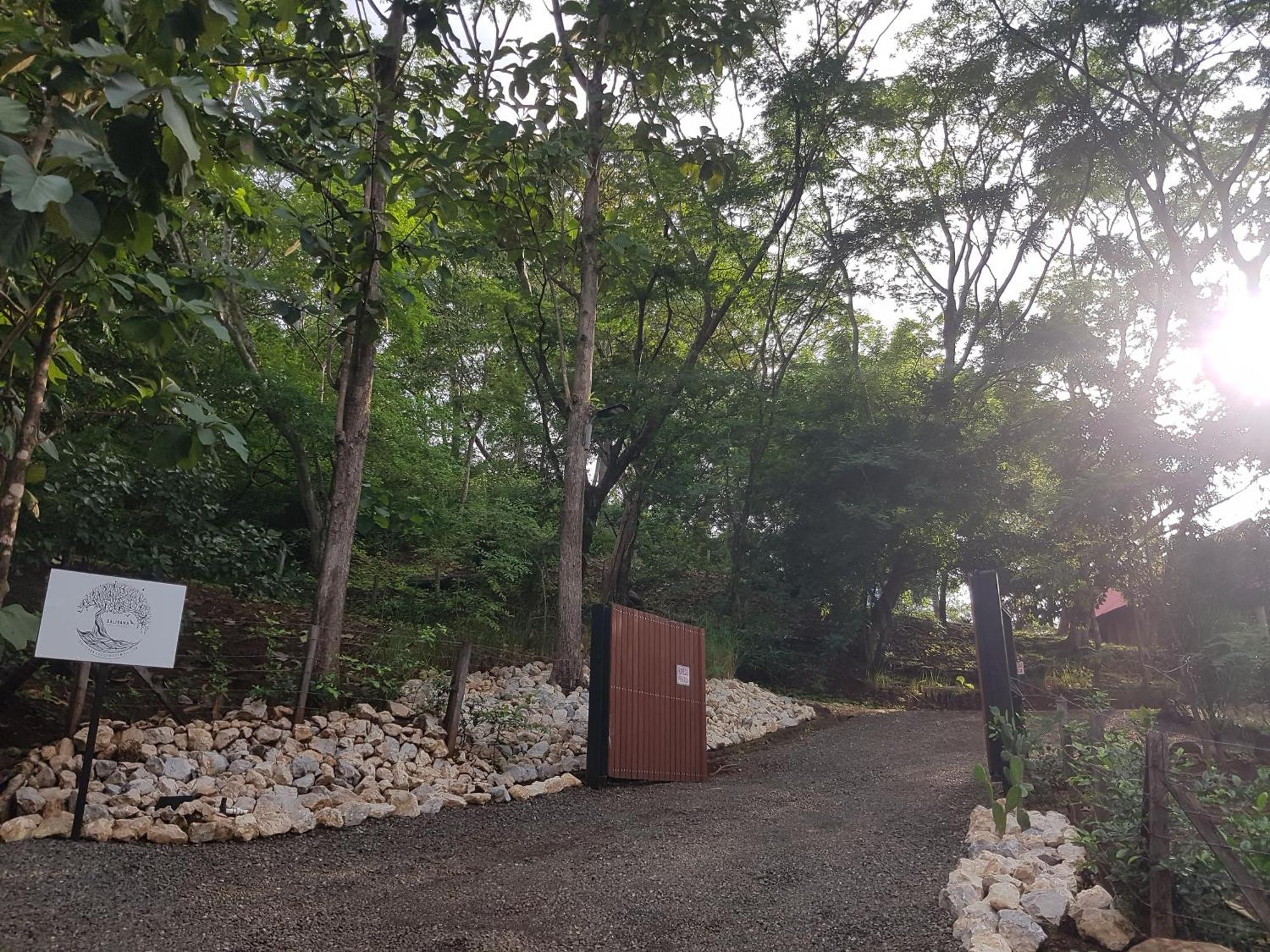 Baliyana Lodge San Jose Pinilla ภายนอก รูปภาพ