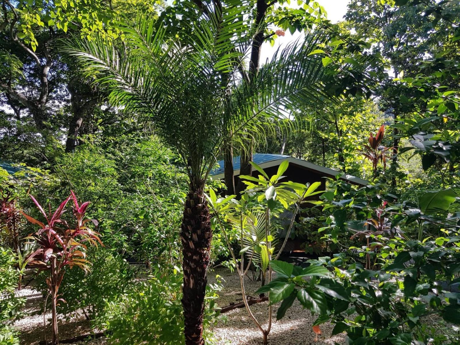 Baliyana Lodge San Jose Pinilla ภายนอก รูปภาพ